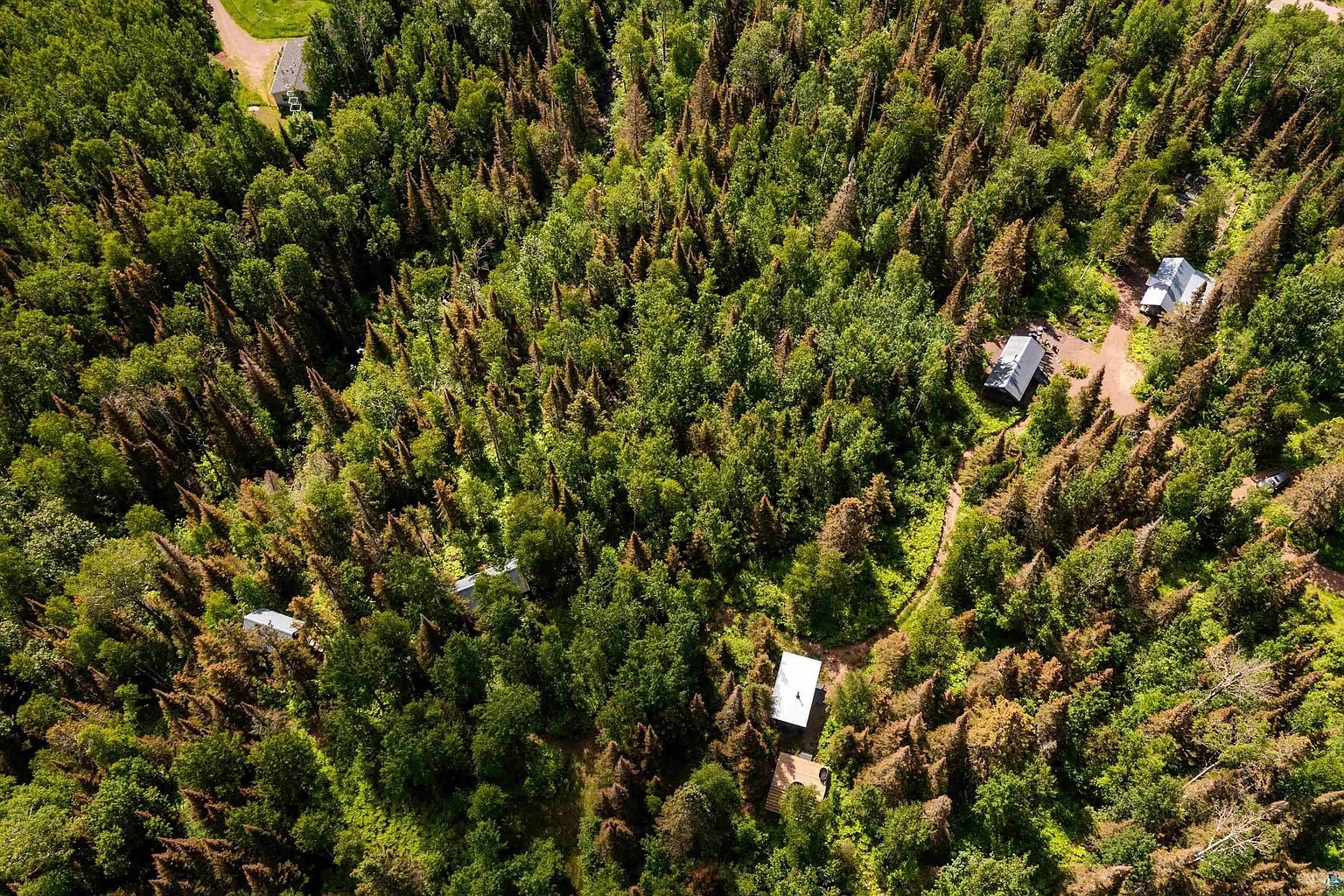 Aerial view showing cabin, sauna, deck, and screen house.