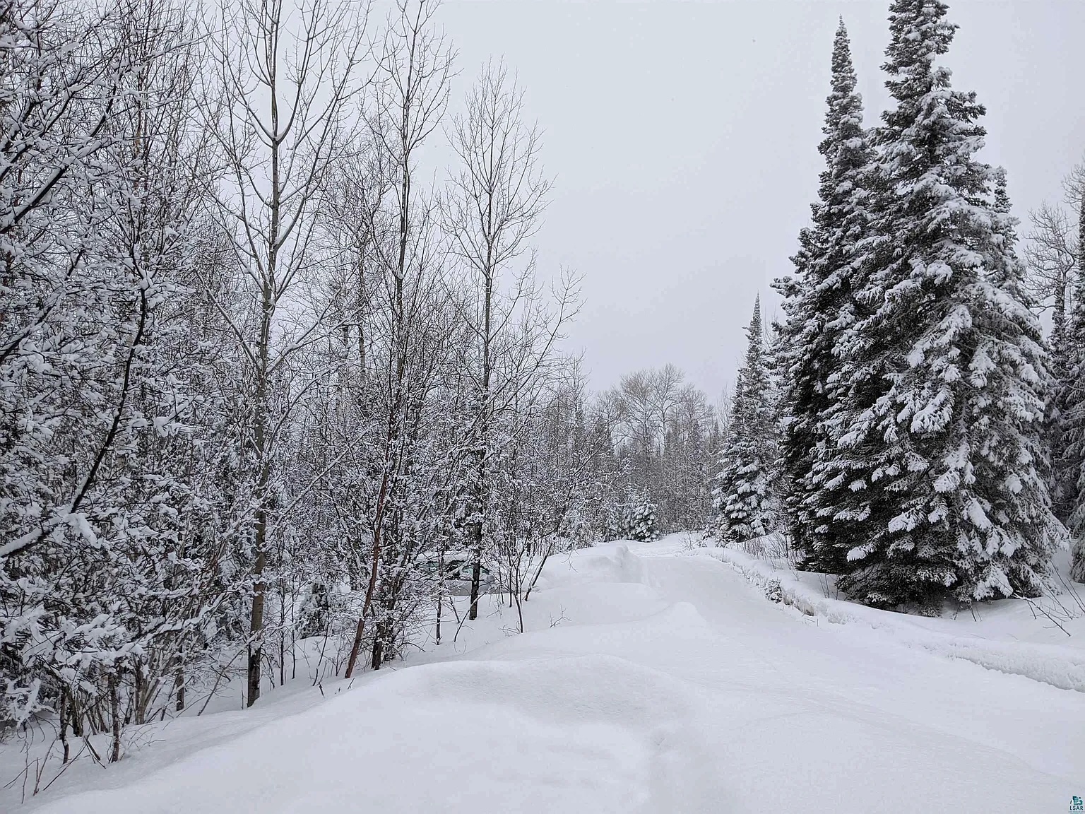 Winter view